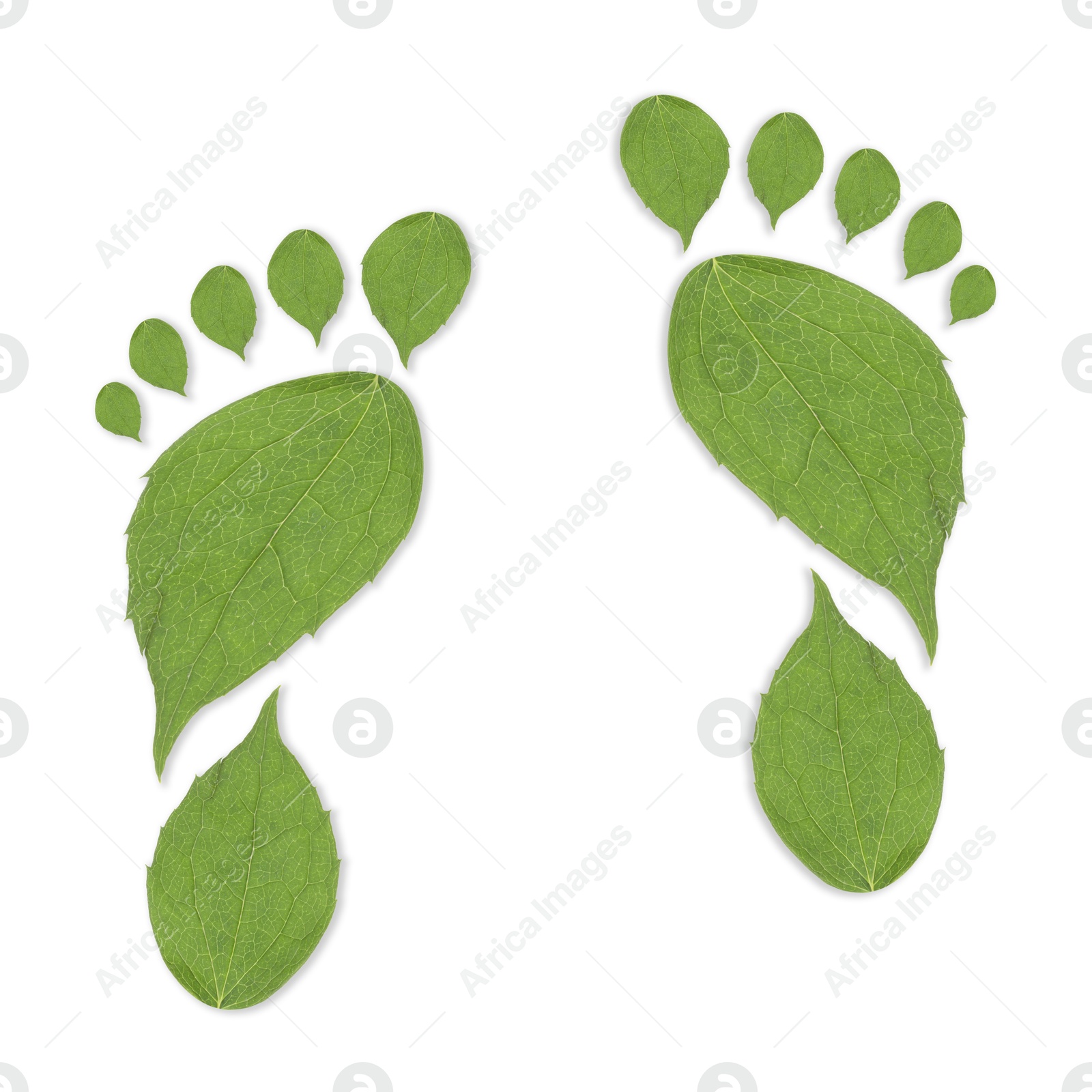 Human footprints made of green leaves on white background, top view. Environmental care, ecology protection, reducing CO2 emission Image of Human footprints made of green leaves on white background, top view. Environmental care, ecology protection, reducing CO2 emission