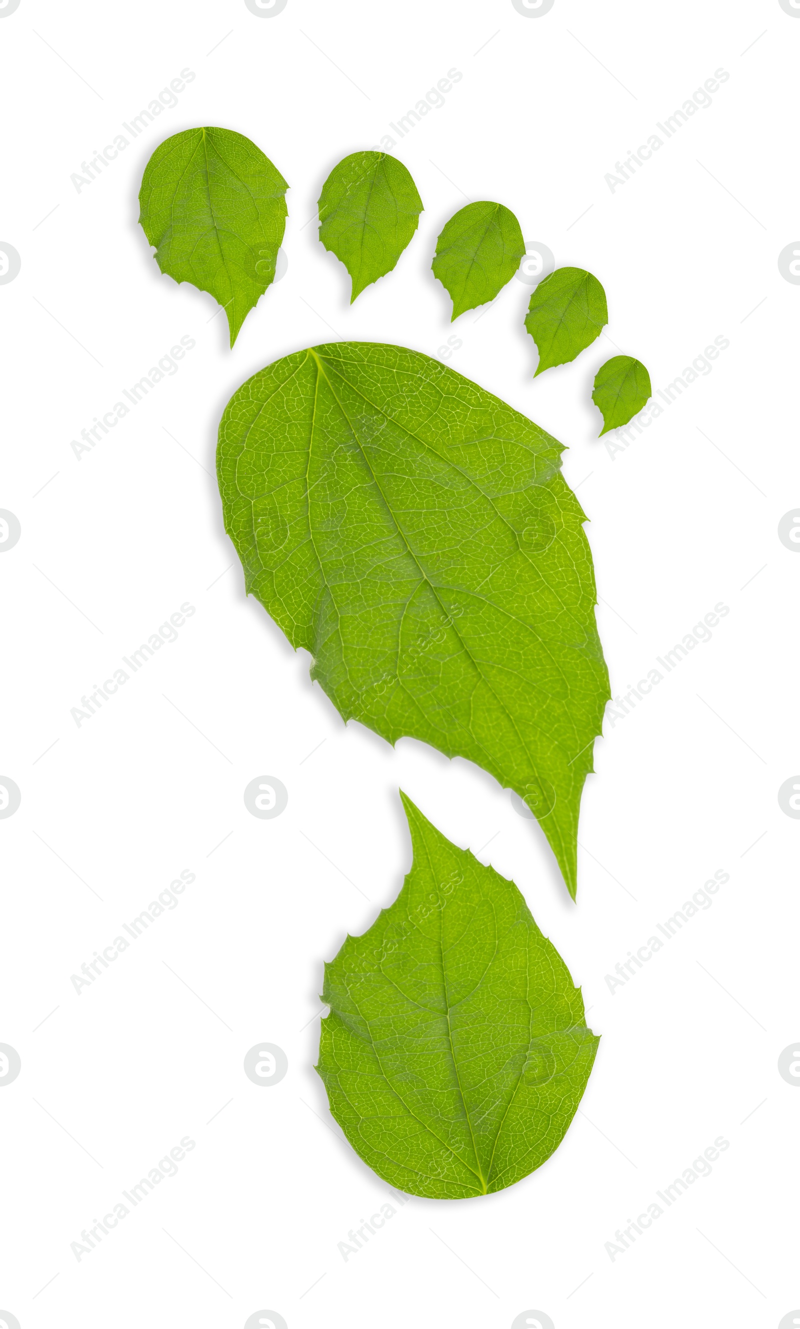 Human footprint made of green leaves on white background, top view. Environmental care, ecology protection, reducing CO2 emission Image of Human footprint made of green leaves on white background, top view. Environmental care, ecology protection, reducing CO2 emission