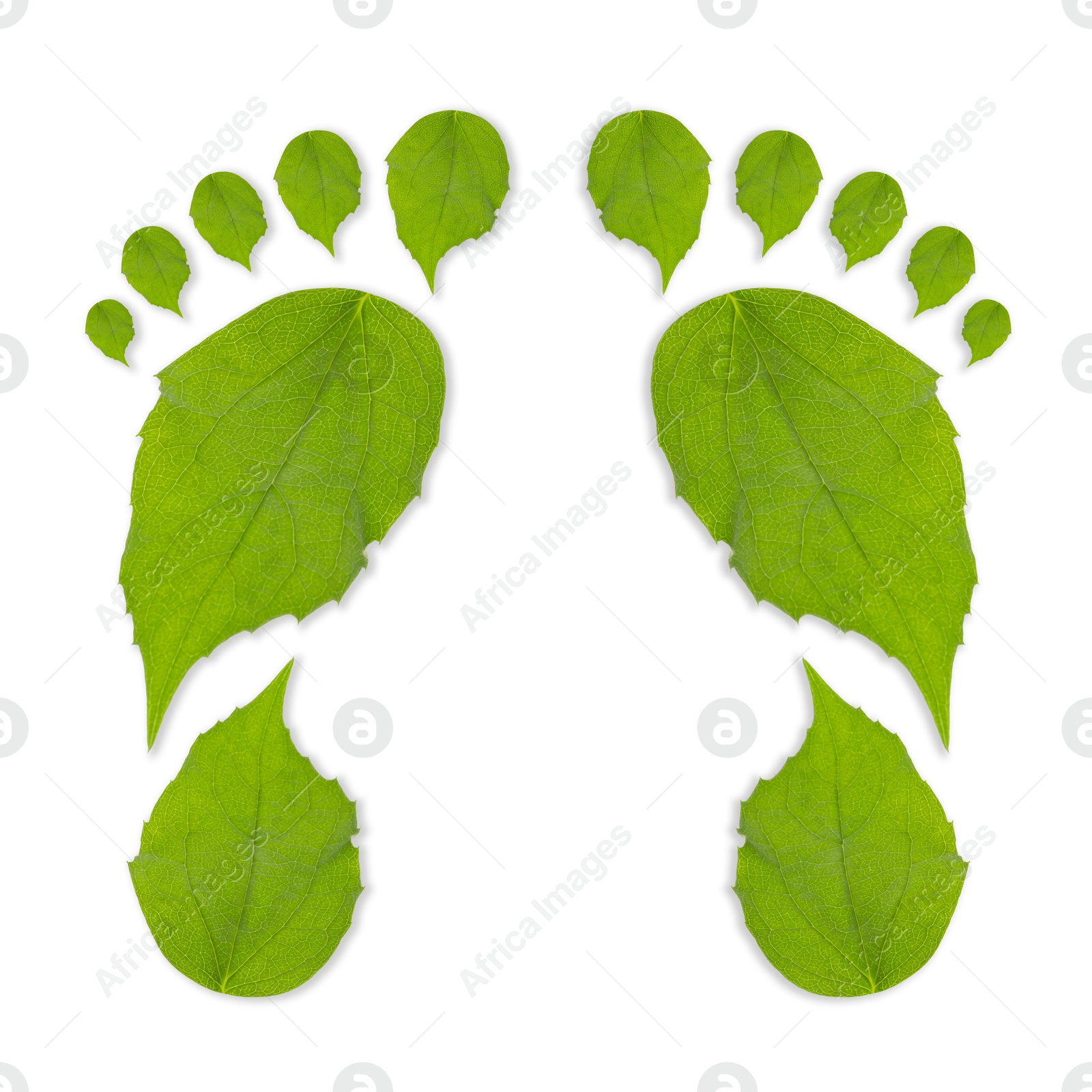 Human footprints made of green leaves on white background, top view. Environmental care, ecology protection, reducing CO2 emission Image of Human footprints made of green leaves on white background, top view. Environmental care, ecology protection, reducing CO2 emission