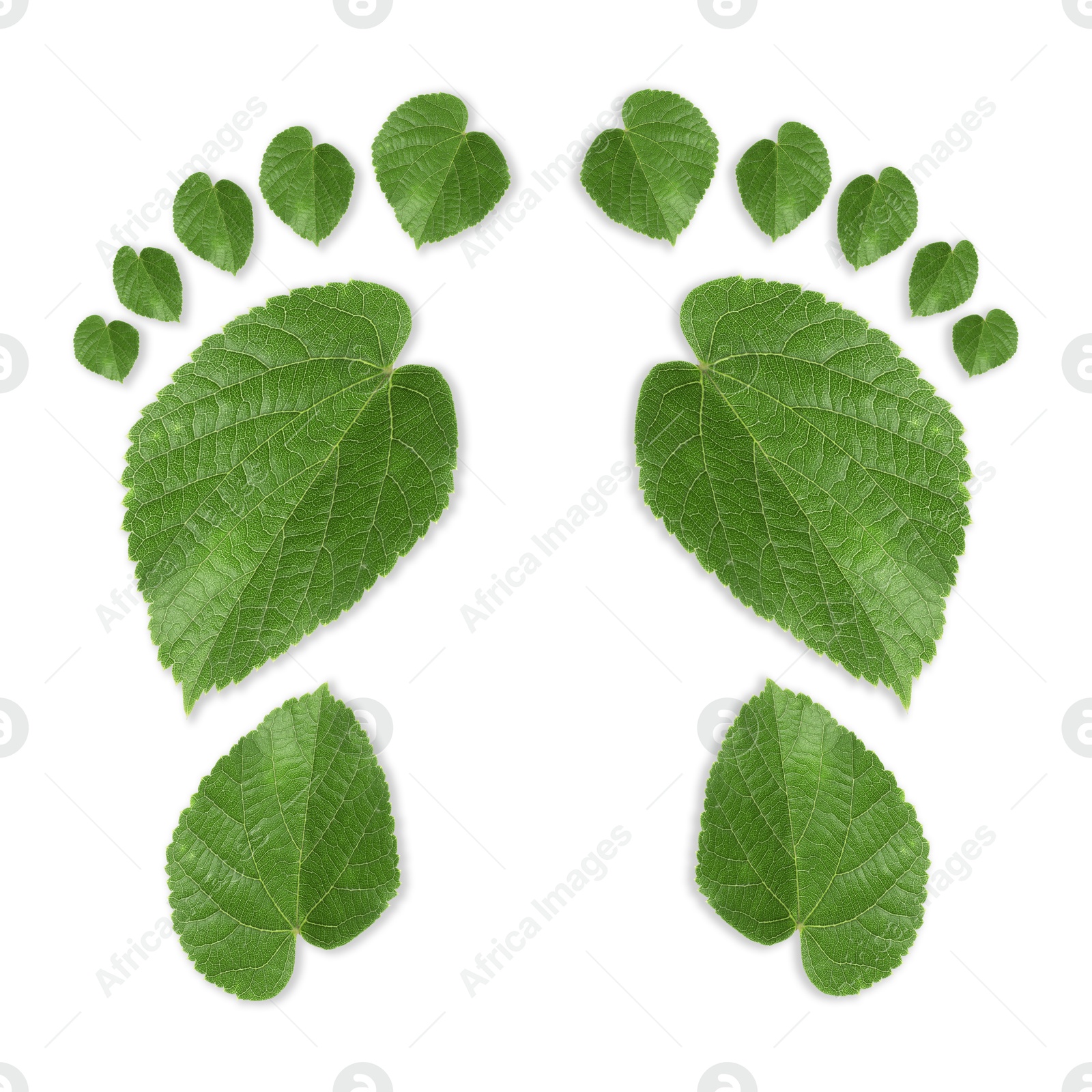 Human footprints made of green leaves on white background, top view. Environmental care, ecology protection, reducing CO2 emission Image of Human footprints made of green leaves on white background, top view. Environmental care, ecology protection, reducing CO2 emission