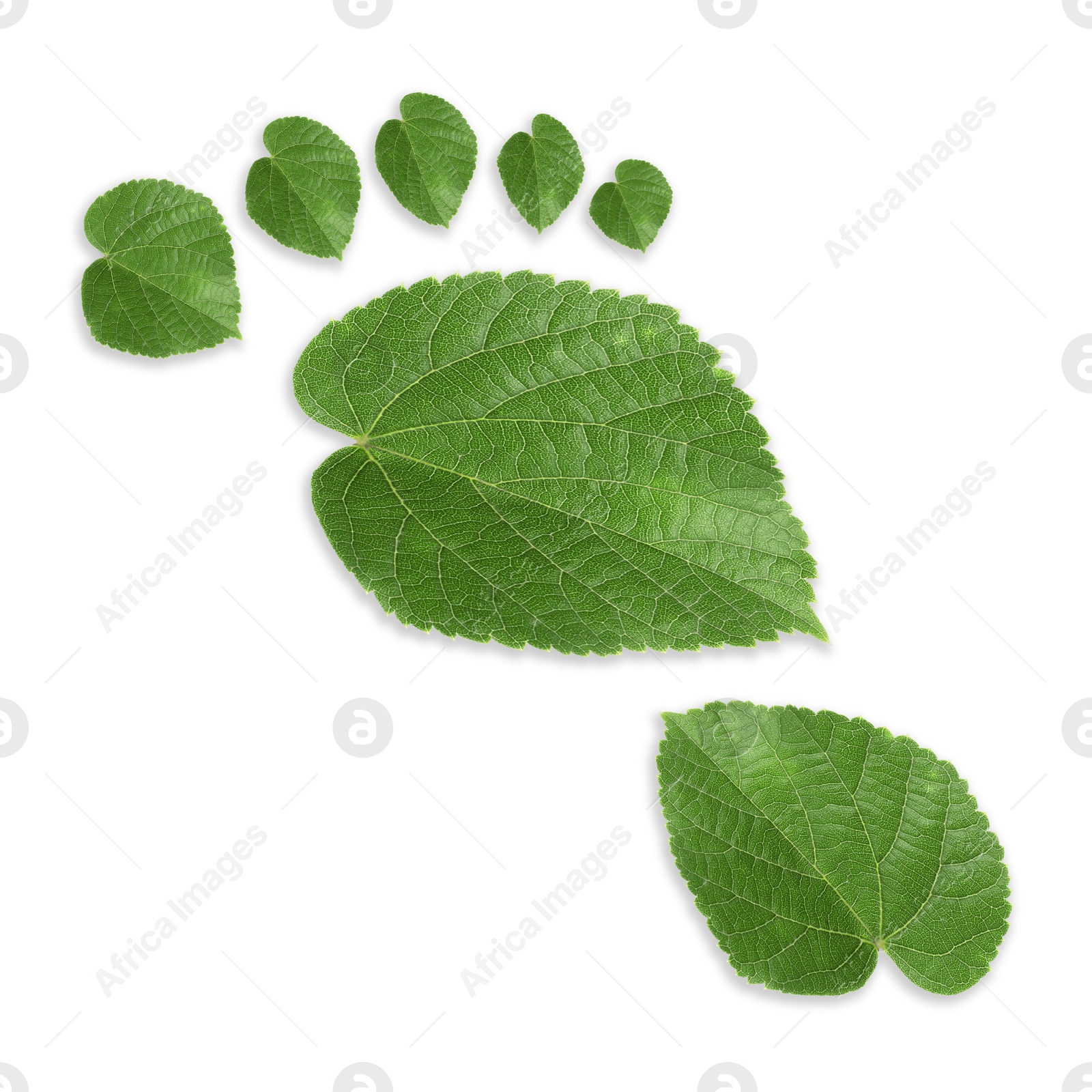 Human footprint made of green leaves on white background, top view. Environmental care, ecology protection, reducing CO2 emission Image of Human footprint made of green leaves on white background, top view. Environmental care, ecology protection, reducing CO2 emission