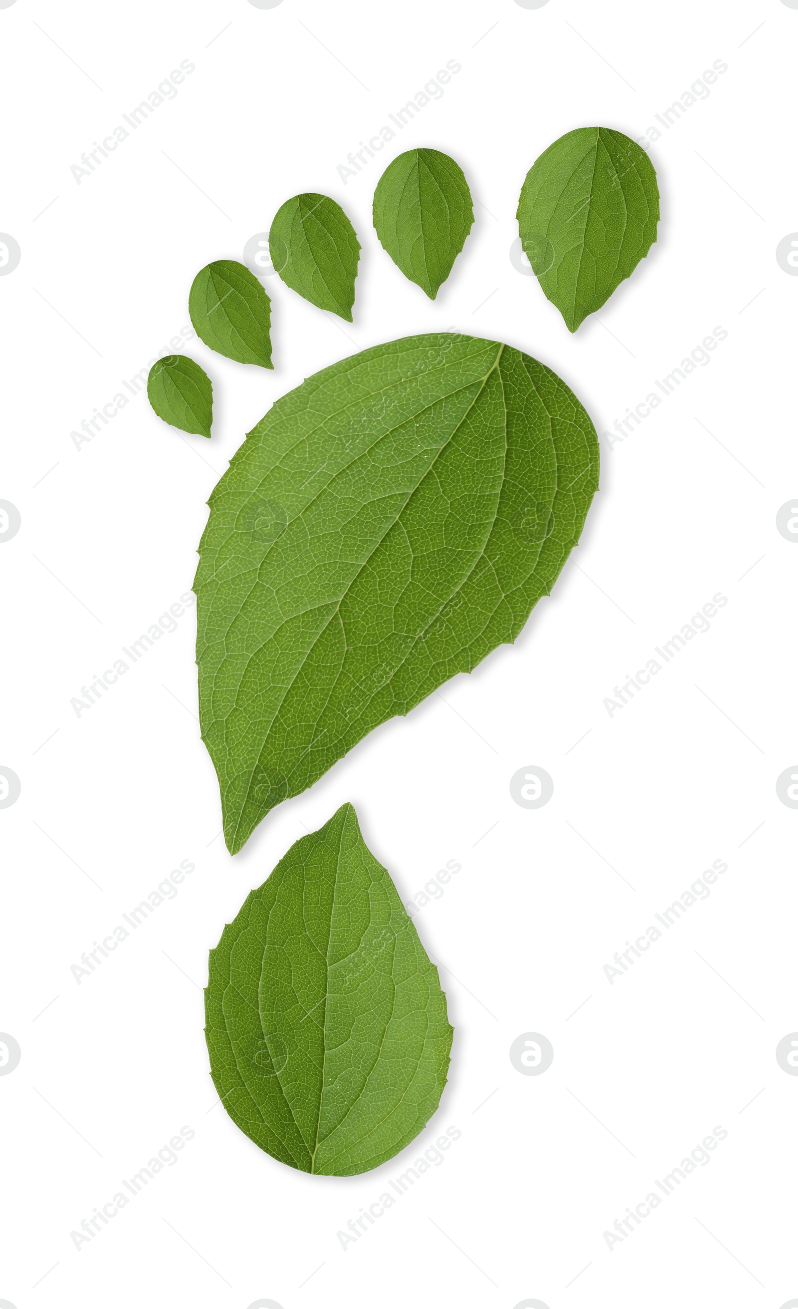 Human footprint made of green leaves on white background, top view. Environmental care, ecology protection, reducing CO2 emission Image of Human footprint made of green leaves on white background, top view. Environmental care, ecology protection, reducing CO2 emission