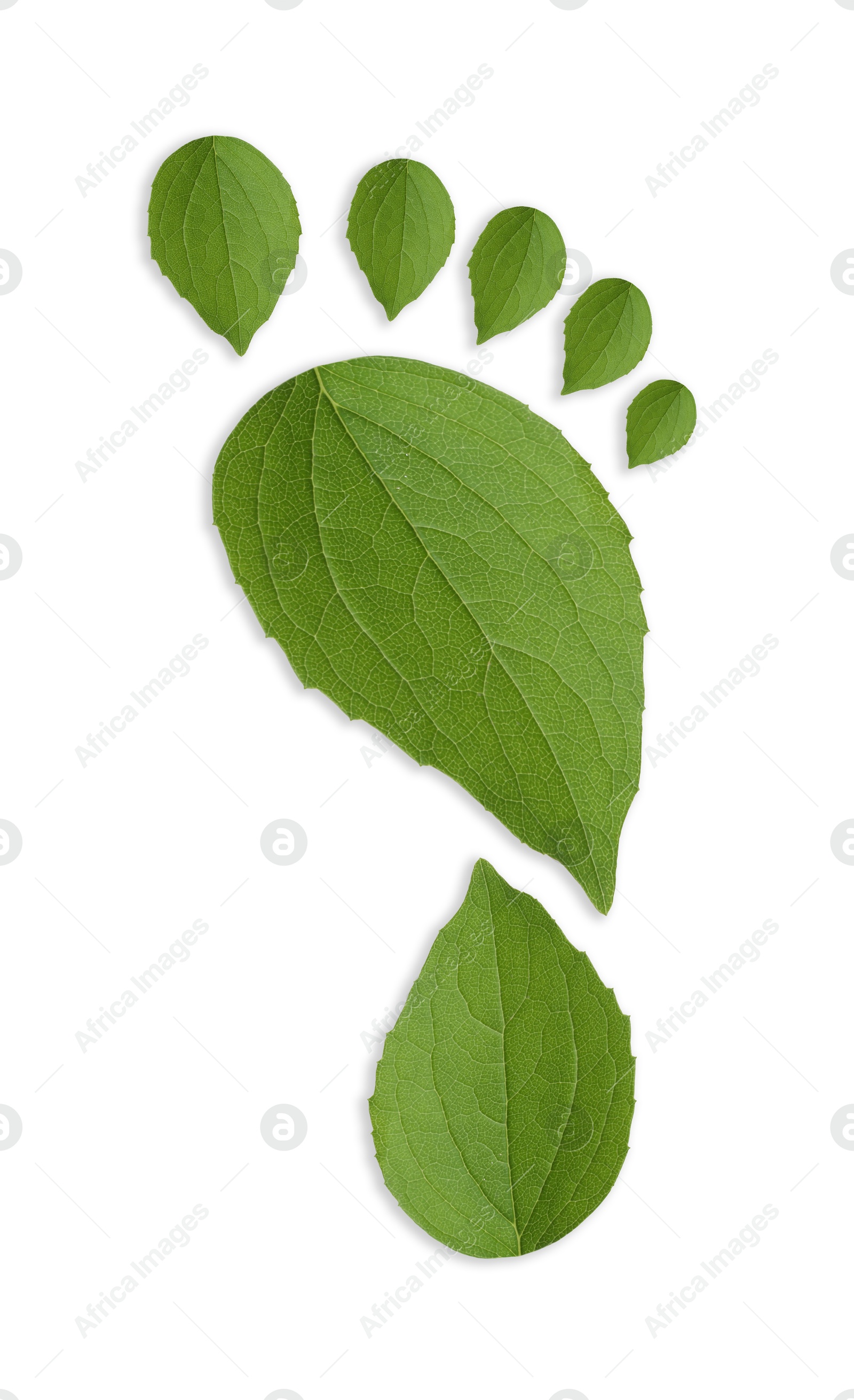Human footprint made of green leaves on white background, top view. Environmental care, ecology protection, reducing CO2 emission Image of Human footprint made of green leaves on white background, top view. Environmental care, ecology protection, reducing CO2 emission
