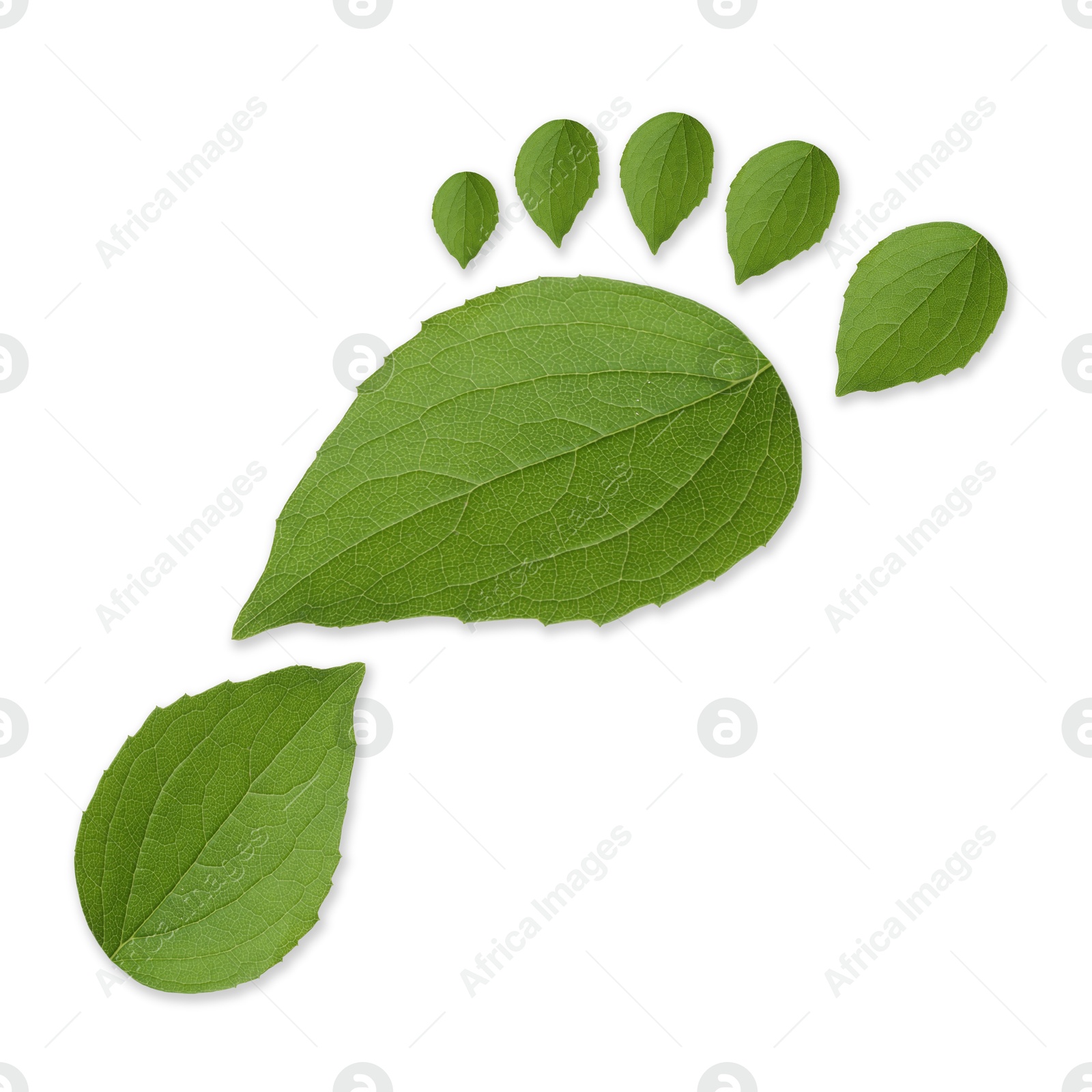 Human footprint made of green leaves on white background, top view. Environmental care, ecology protection, reducing CO2 emission Image of Human footprint made of green leaves on white background, top view. Environmental care, ecology protection, reducing CO2 emission
