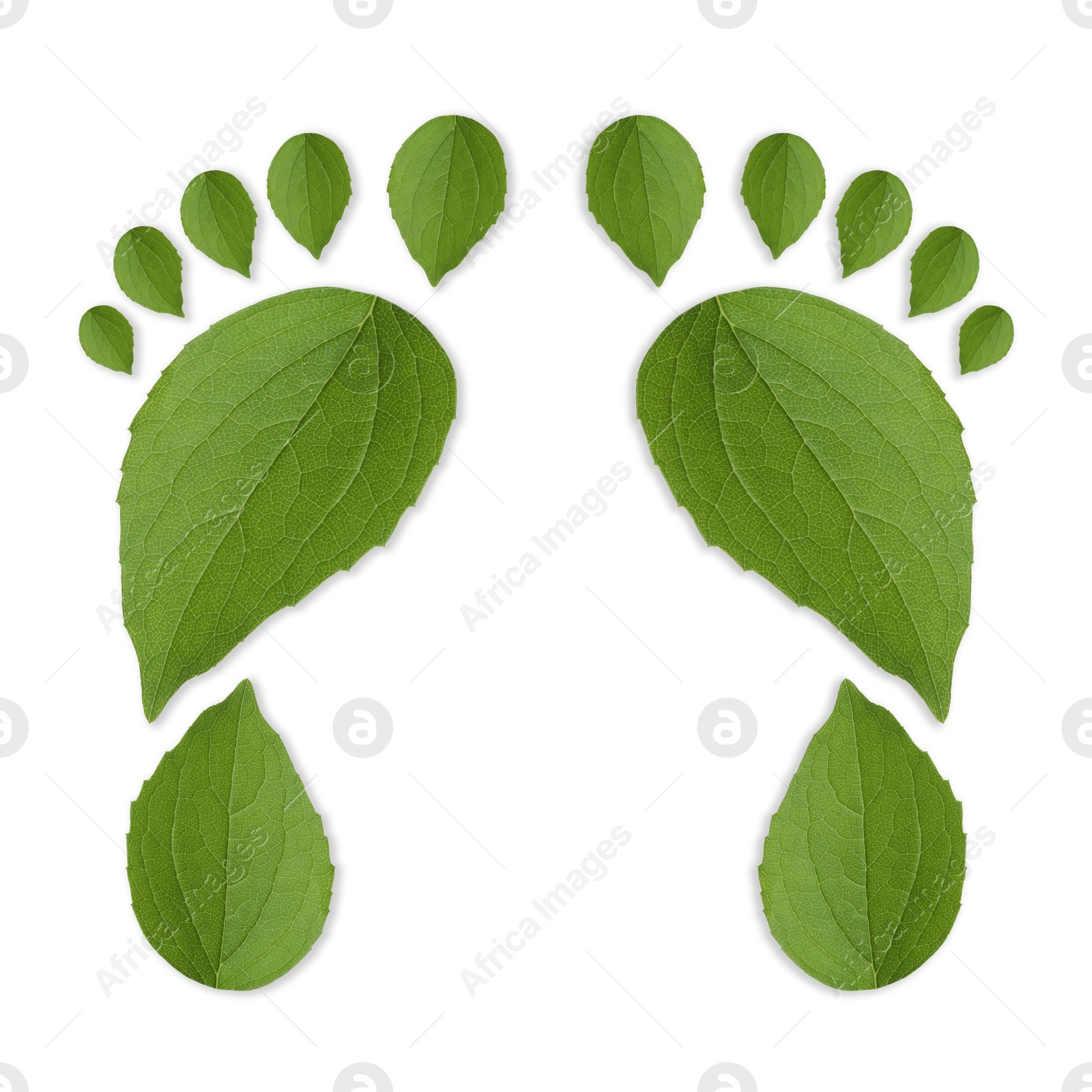Human footprints made of green leaves on white background, top view. Environmental care, ecology protection, reducing CO2 emission Image of Human footprints made of green leaves on white background, top view. Environmental care, ecology protection, reducing CO2 emission