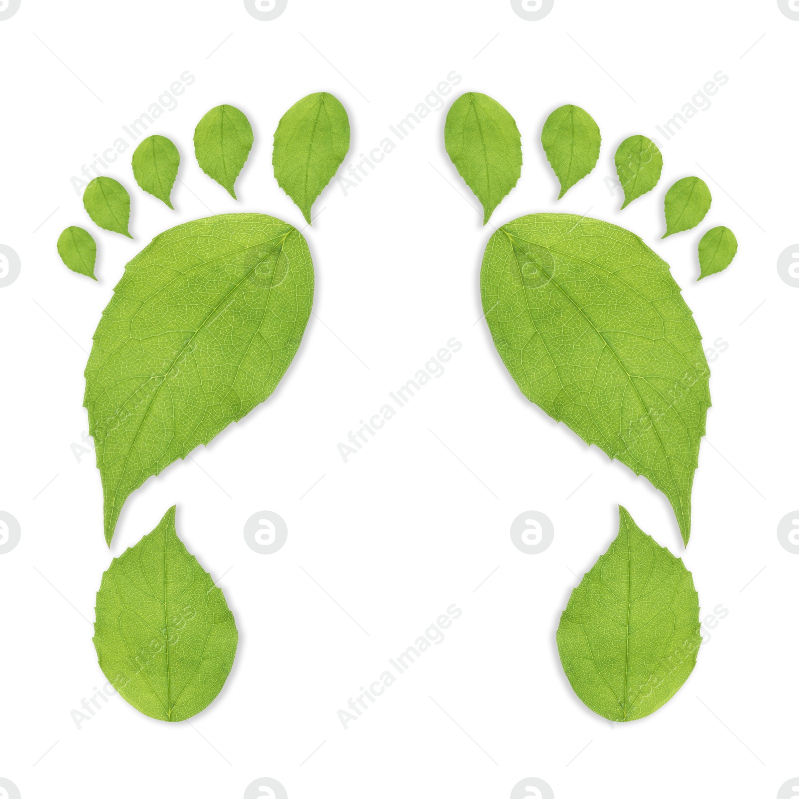 Human footprints made of green leaves on white background, top view. Environmental care, ecology protection, reducing CO2 emission Image of Human footprints made of green leaves on white background, top view. Environmental care, ecology protection, reducing CO2 emission