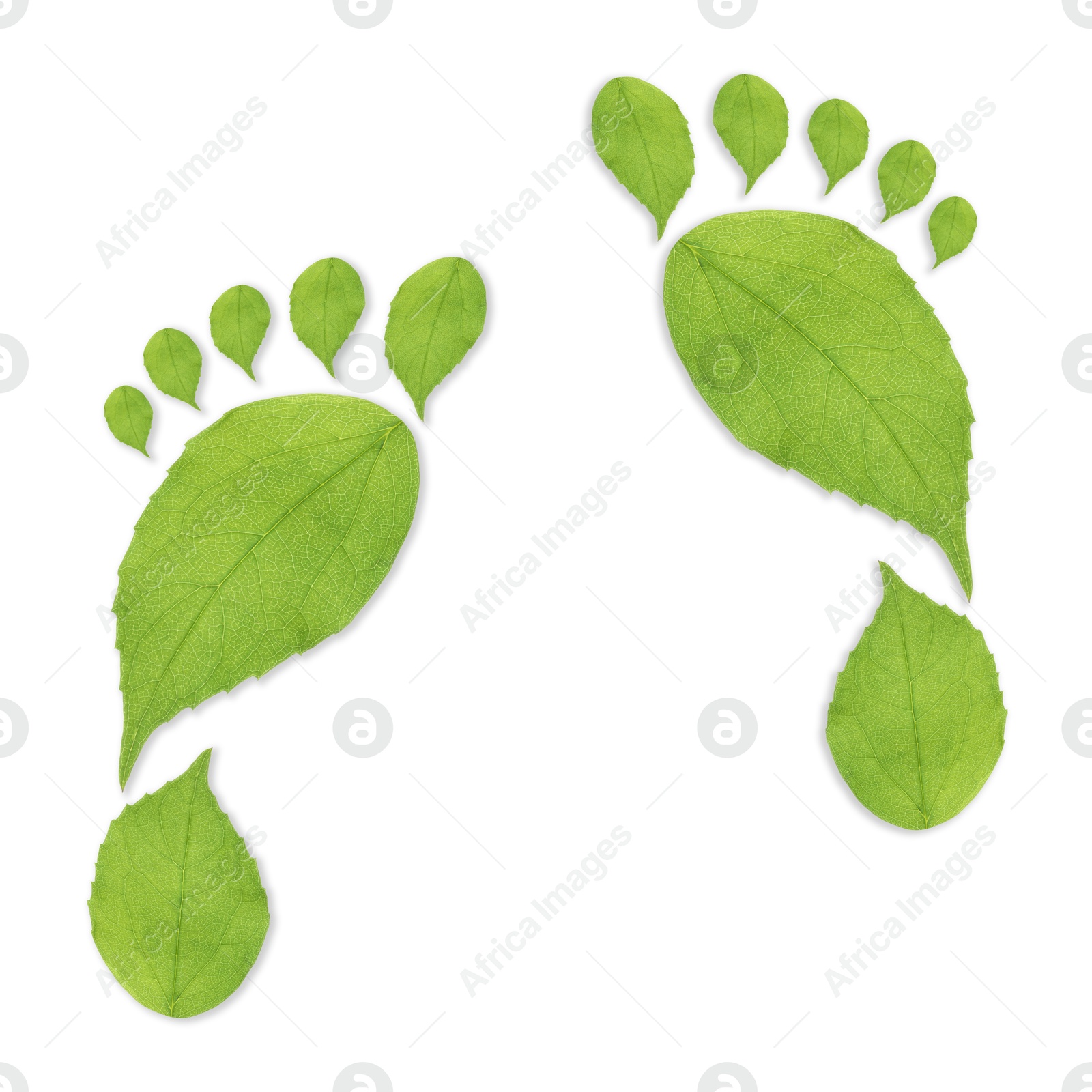 Human footprints made of green leaves on white background, top view. Environmental care, ecology protection, reducing CO2 emission Image of Human footprints made of green leaves on white background, top view. Environmental care, ecology protection, reducing CO2 emission