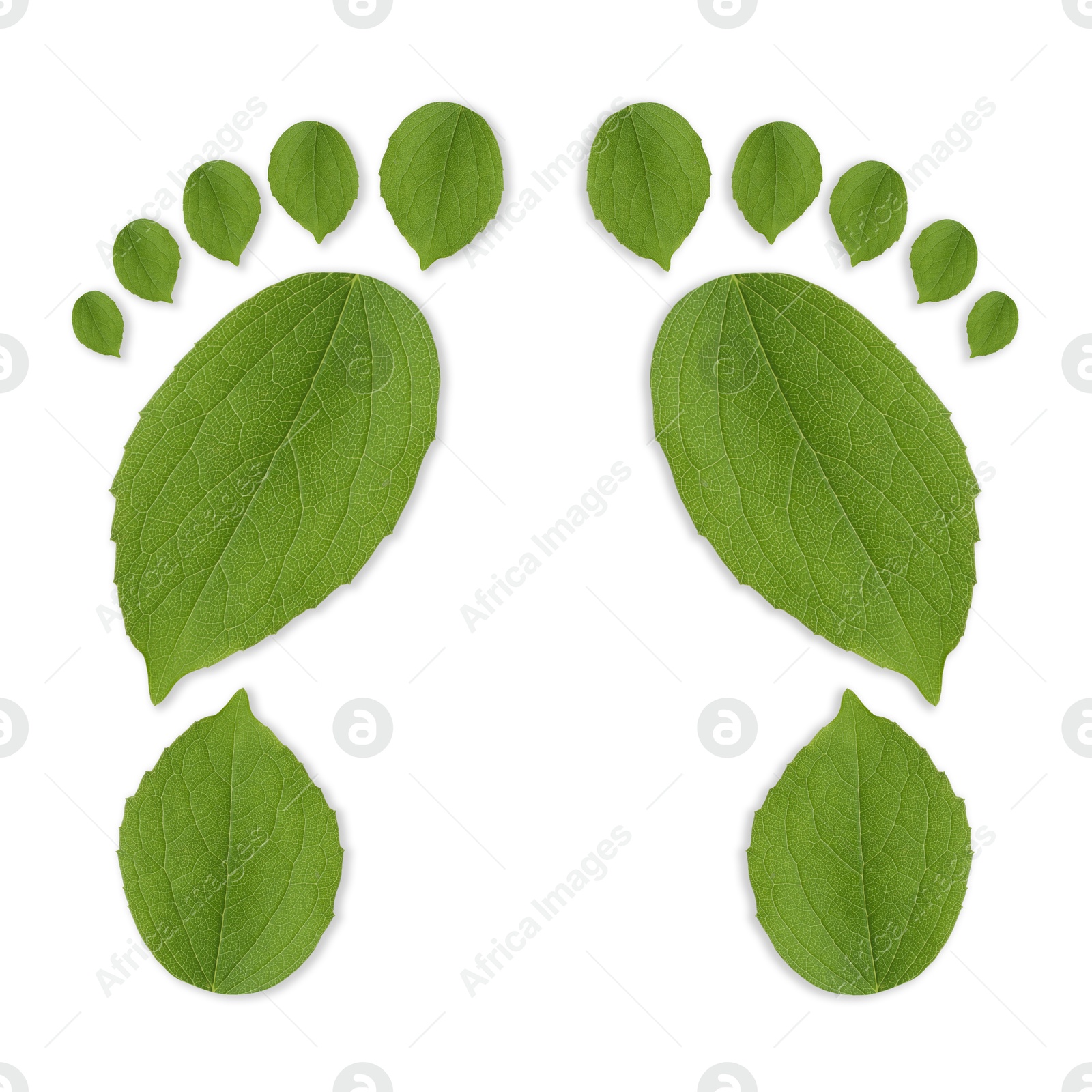 Human footprints made of green leaves on white background, top view. Environmental care, ecology protection, reducing CO2 emission Image of Human footprints made of green leaves on white background, top view. Environmental care, ecology protection, reducing CO2 emission