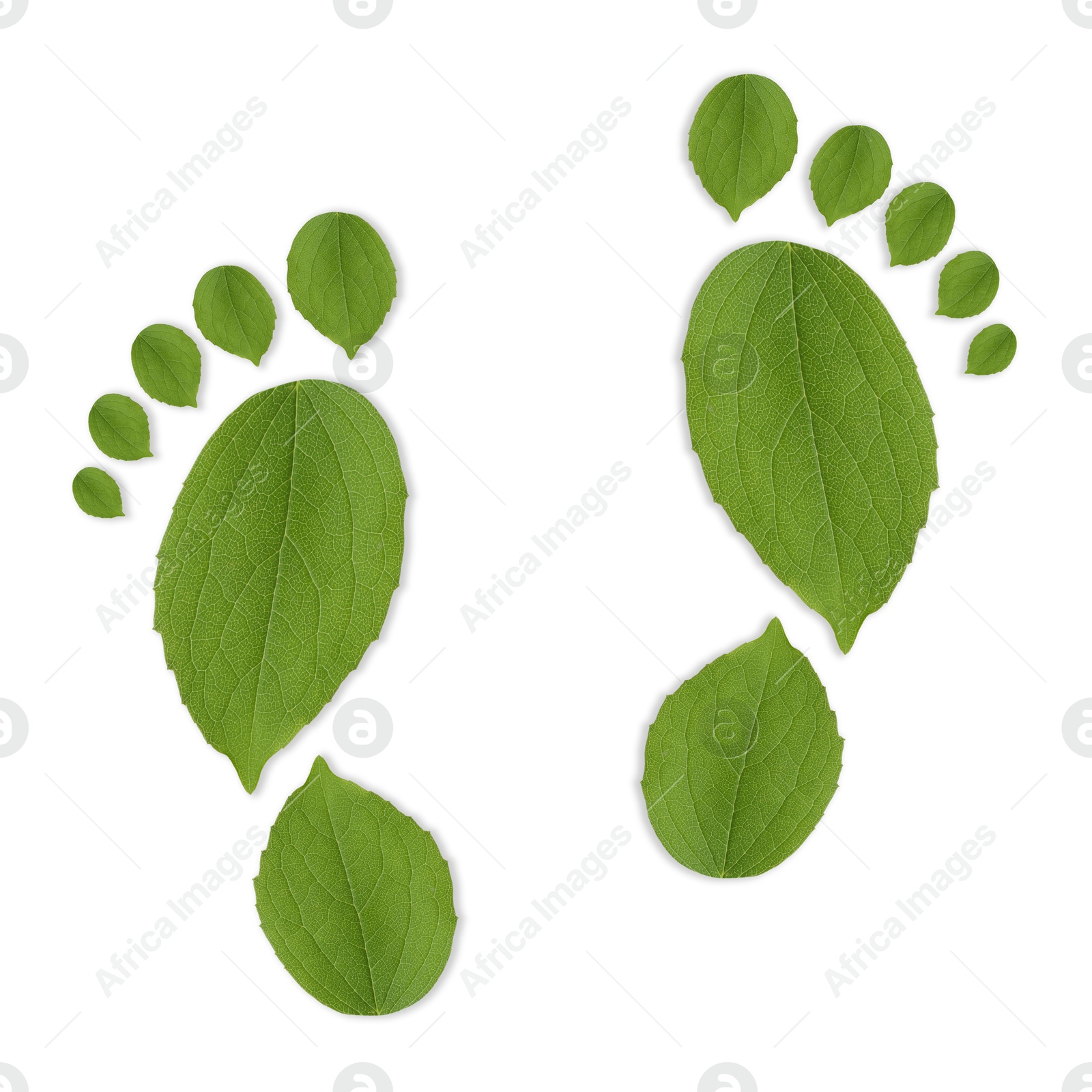 Human footprints made of green leaves on white background, top view. Environmental care, ecology protection, reducing CO2 emission Image of Human footprints made of green leaves on white background, top view. Environmental care, ecology protection, reducing CO2 emission