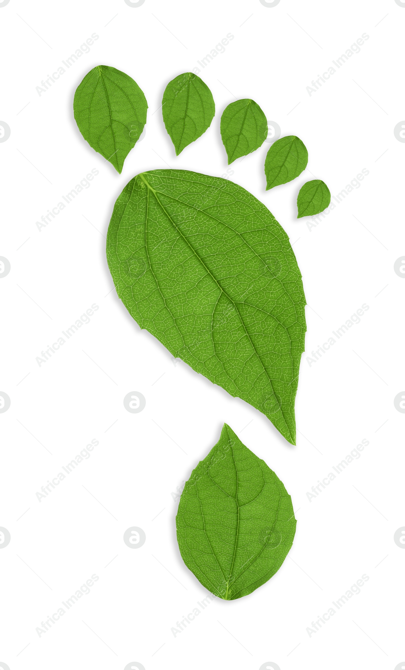 Human footprint made of green leaves on white background, top view. Environmental care, ecology protection, reducing CO2 emission Image of Human footprint made of green leaves on white background, top view. Environmental care, ecology protection, reducing CO2 emission