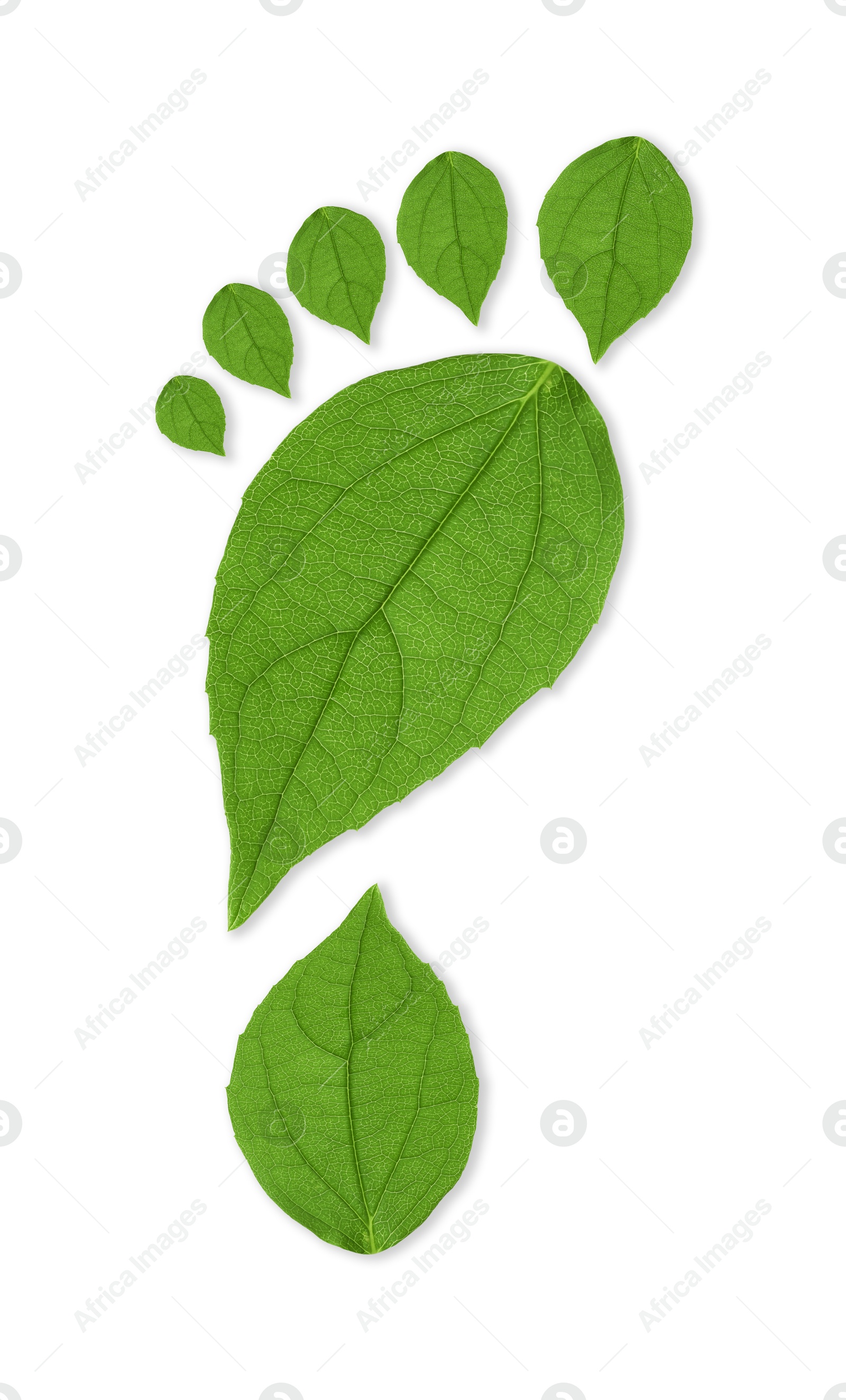 Human footprint made of green leaves on white background, top view. Environmental care, ecology protection, reducing CO2 emission Image of Human footprint made of green leaves on white background, top view. Environmental care, ecology protection, reducing CO2 emission