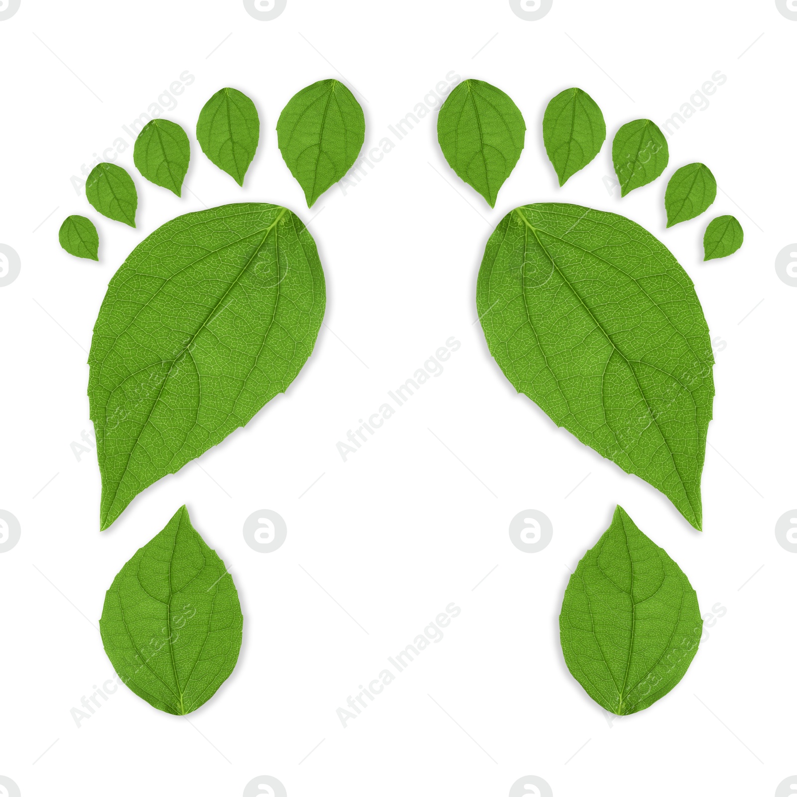Human footprints made of green leaves on white background, top view. Environmental care, ecology protection, reducing CO2 emission Image of Human footprints made of green leaves on white background, top view. Environmental care, ecology protection, reducing CO2 emission