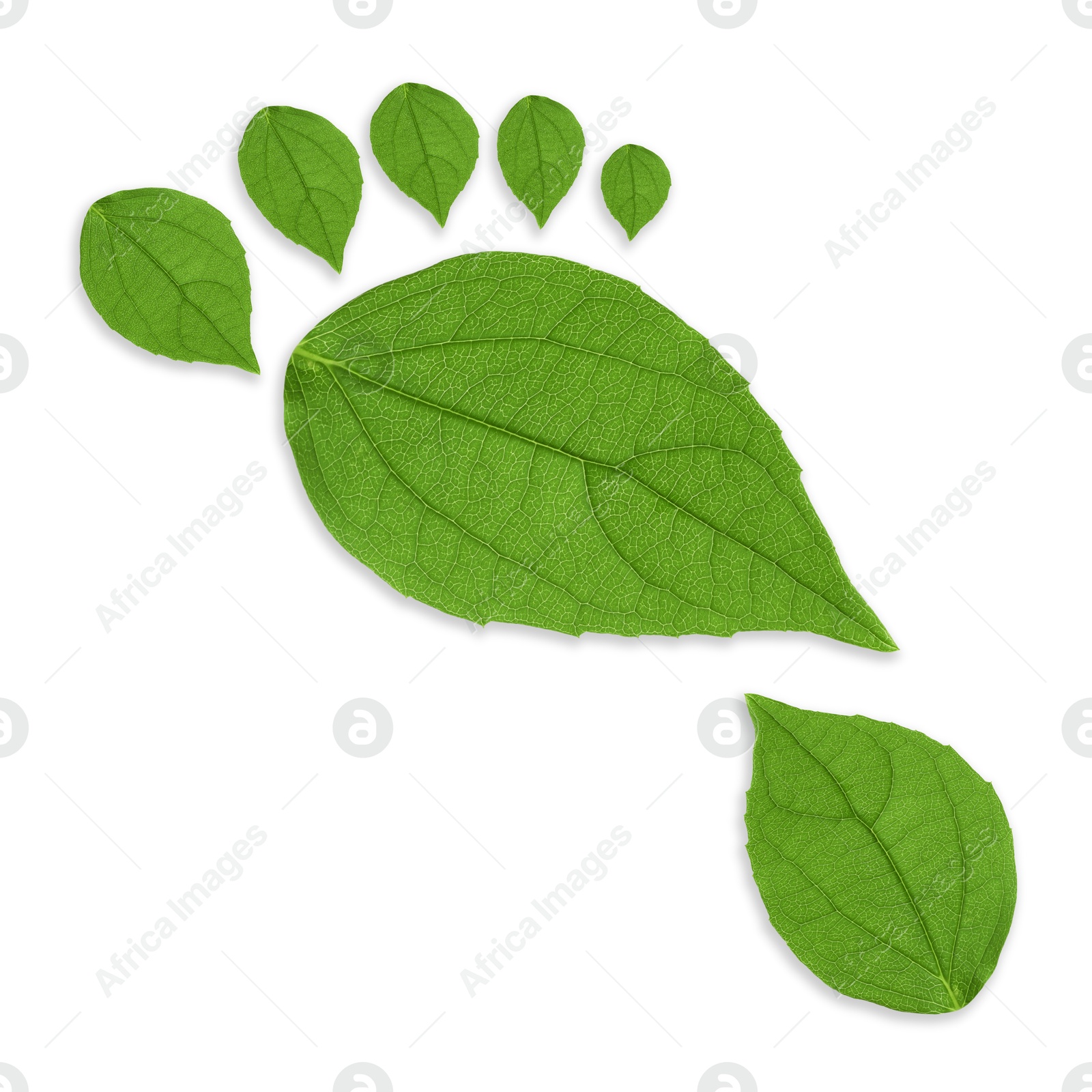 Human footprint made of green leaves on white background, top view. Environmental care, ecology protection, reducing CO2 emission Image of Human footprint made of green leaves on white background, top view. Environmental care, ecology protection, reducing CO2 emission