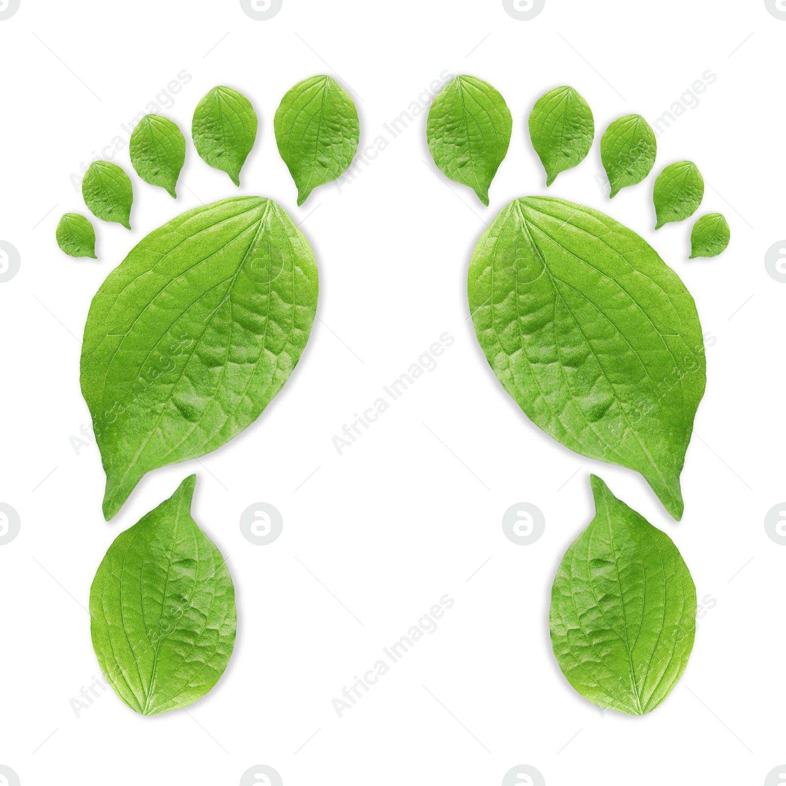 Human footprints made of green leaves on white background, top view. Environmental care, ecology protection, reducing CO2 emission Image of Human footprints made of green leaves on white background, top view. Environmental care, ecology protection, reducing CO2 emission
