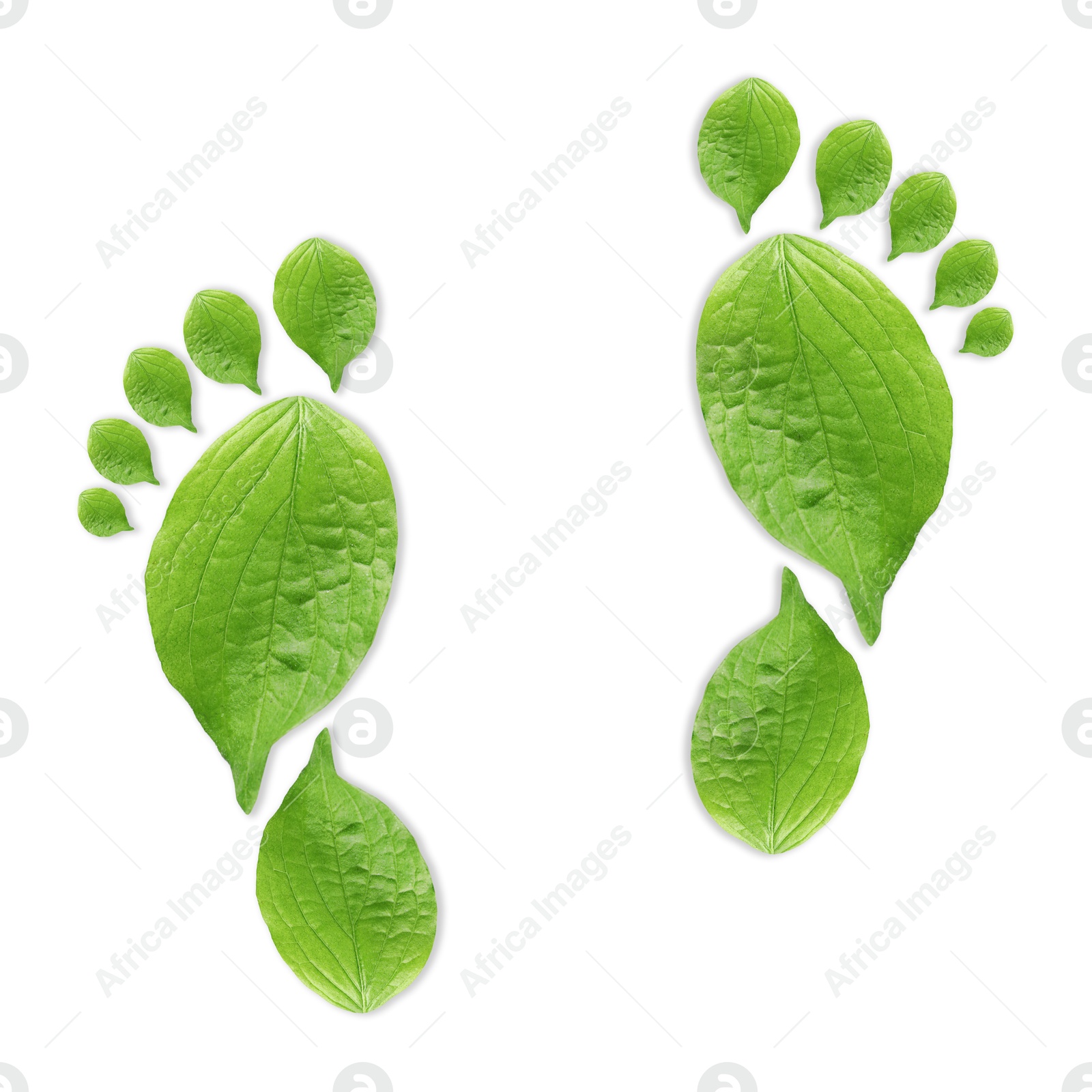 Human footprints made of green leaves on white background, top view. Environmental care, ecology protection, reducing CO2 emission Image of Human footprints made of green leaves on white background, top view. Environmental care, ecology protection, reducing CO2 emission