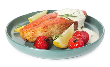 Photo of Seafood. Tasty salmon steak, sauce, tomatoes, rosemary and lemon isolated on white