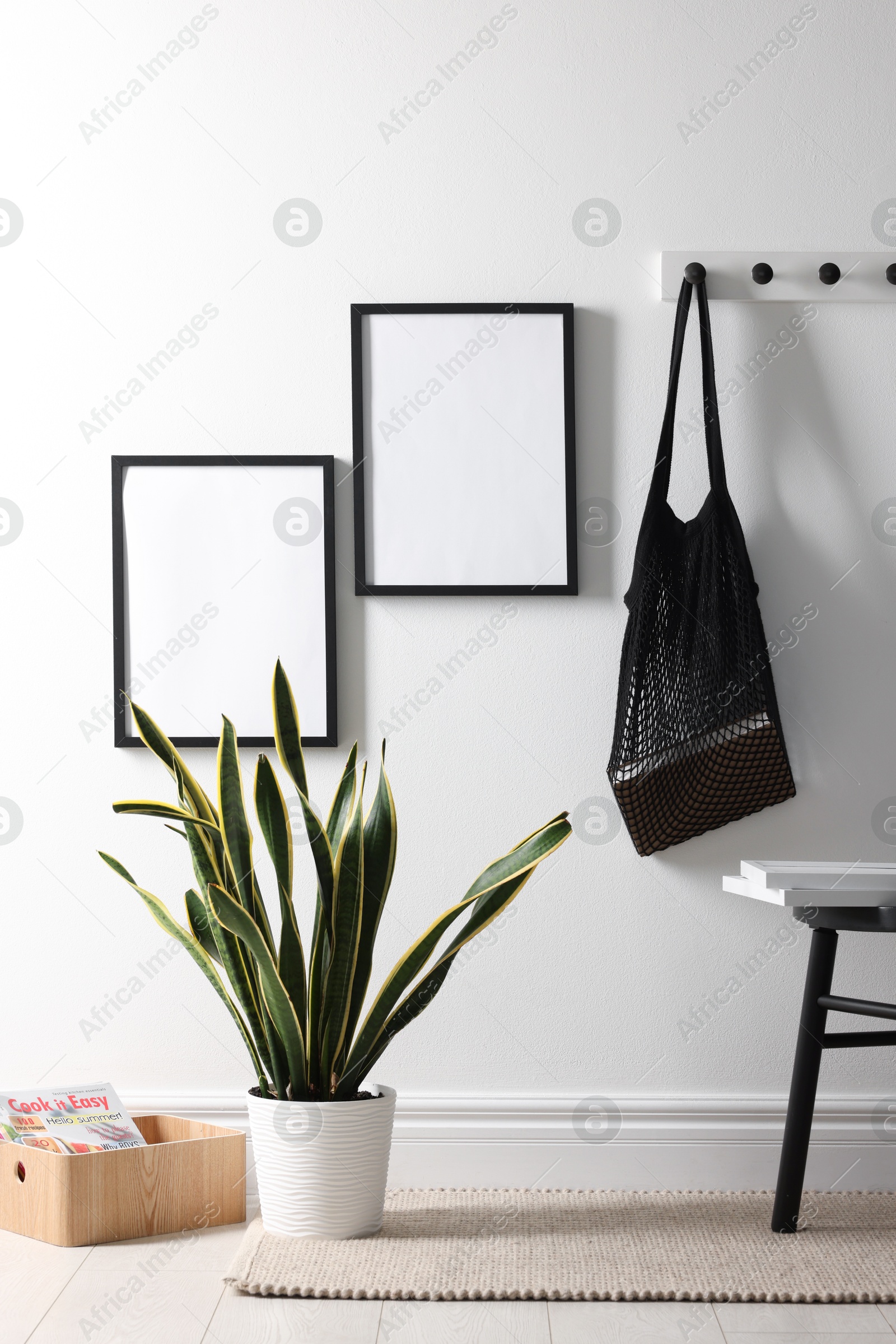 Empty picture frames on white wall, string bag and houseplant indoors Photo of Empty picture frames on white wall, string bag and houseplant indoors