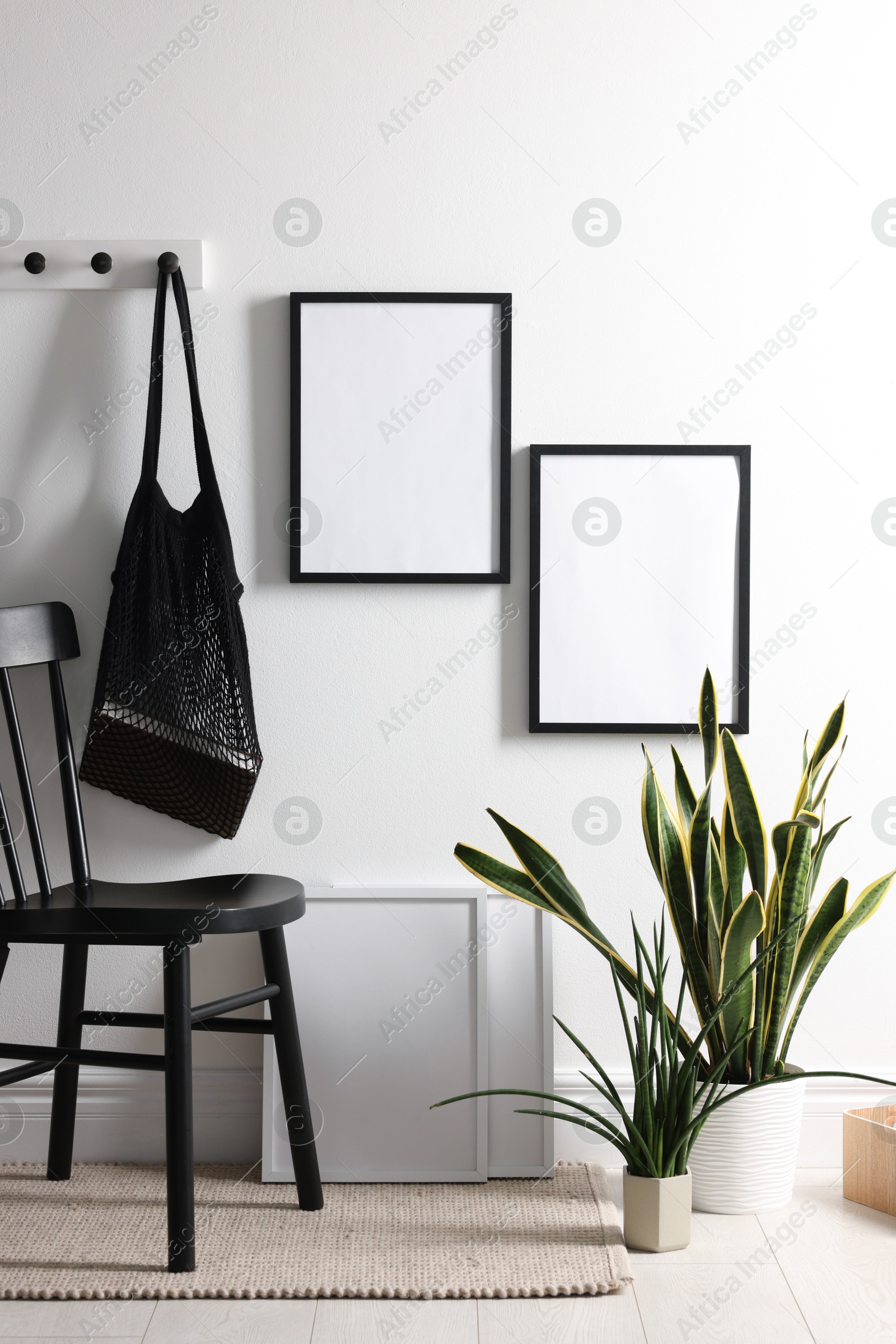 Empty picture frames on white wall, string bag, chair and houseplants indoors Photo of Empty picture frames on white wall, string bag, chair and houseplants indoors