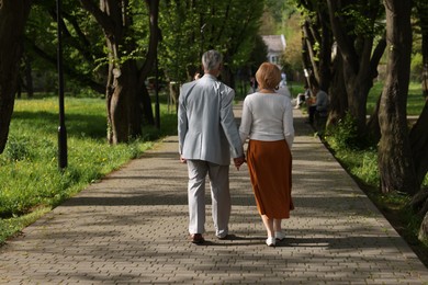 Photo of Lovely senior couple together in park, back view