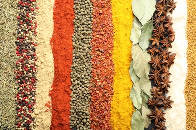 Photo of Many different spices as background, top view