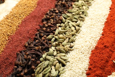 Photo of Many different aromatic spices as background, closeup