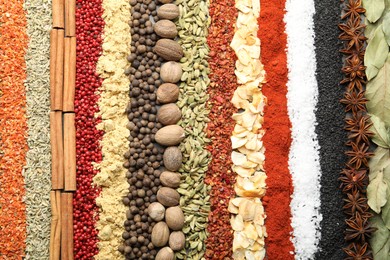 Photo of Many different spices as background, top view