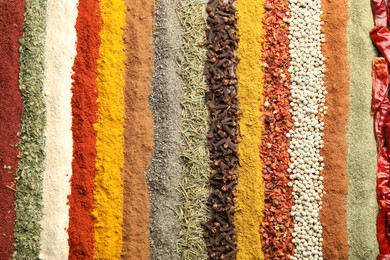 Photo of Many different spices as background, top view