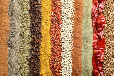 Photo of Many different spices as background, top view