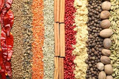 Photo of Many different spices as background, top view
