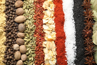 Photo of Many different spices as background, top view