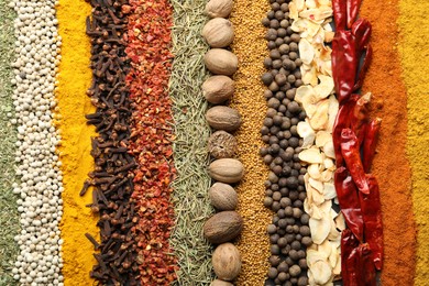 Photo of Many different spices as background, top view