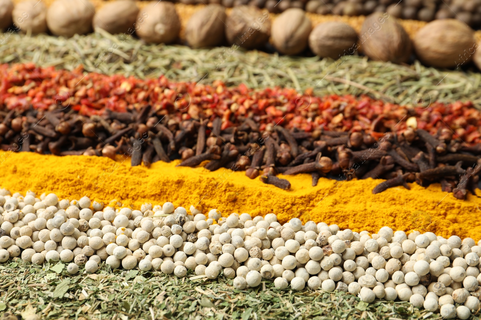Photo of Many different aromatic spices as background, closeup