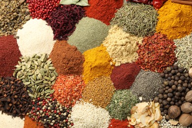 Photo of Different aromatic spices as background, top view
