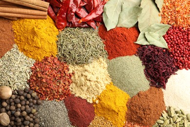 Photo of Different aromatic spices as background, top view