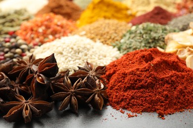 Photo of Different aromatic spices on grey table, closeup