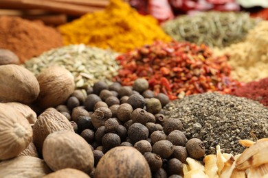 Photo of Different aromatic spices as background, closeup view