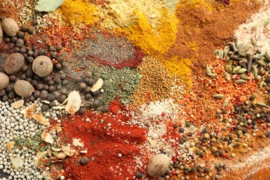 Photo of Different aromatic spices as background, top view