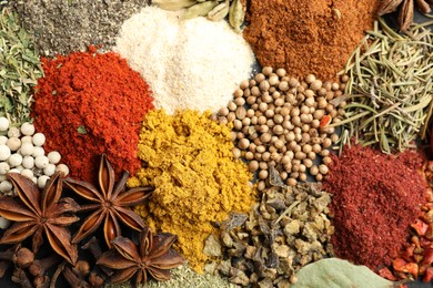 Photo of Different aromatic spices as background, top view