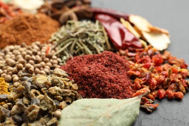 Photo of Different aromatic spices on grey table, closeup
