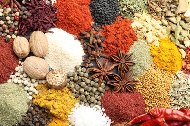Photo of Different aromatic spices as background, top view