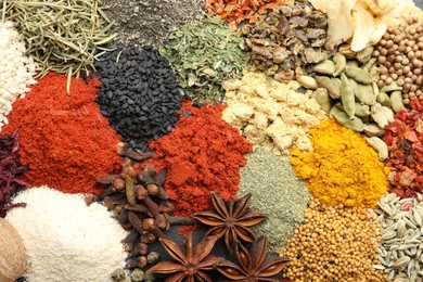Photo of Different aromatic spices as background, top view