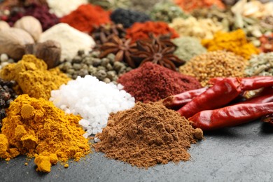 Photo of Different aromatic spices on grey table, closeup