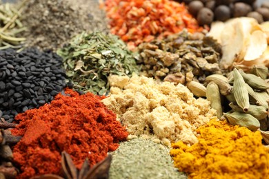 Photo of Different aromatic spices as background, closeup view