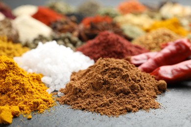 Photo of Different aromatic spices on grey table, closeup