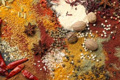Photo of Different aromatic spices on grey table, top view