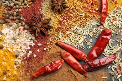 Photo of Different aromatic spices on grey table, top view