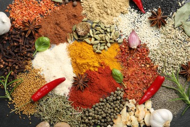 Photo of Different aromatic spices on grey table, top view