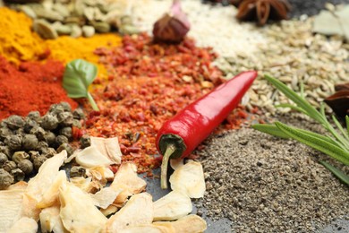 Photo of Different aromatic spices on grey table, closeup