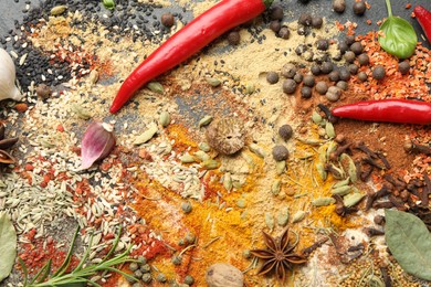 Photo of Different aromatic spices on grey table, top view