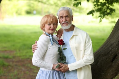 Photo of Lovely senior couple with rose in park